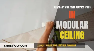 Best Paint for Covering Plastic Strips in Modular Ceiling