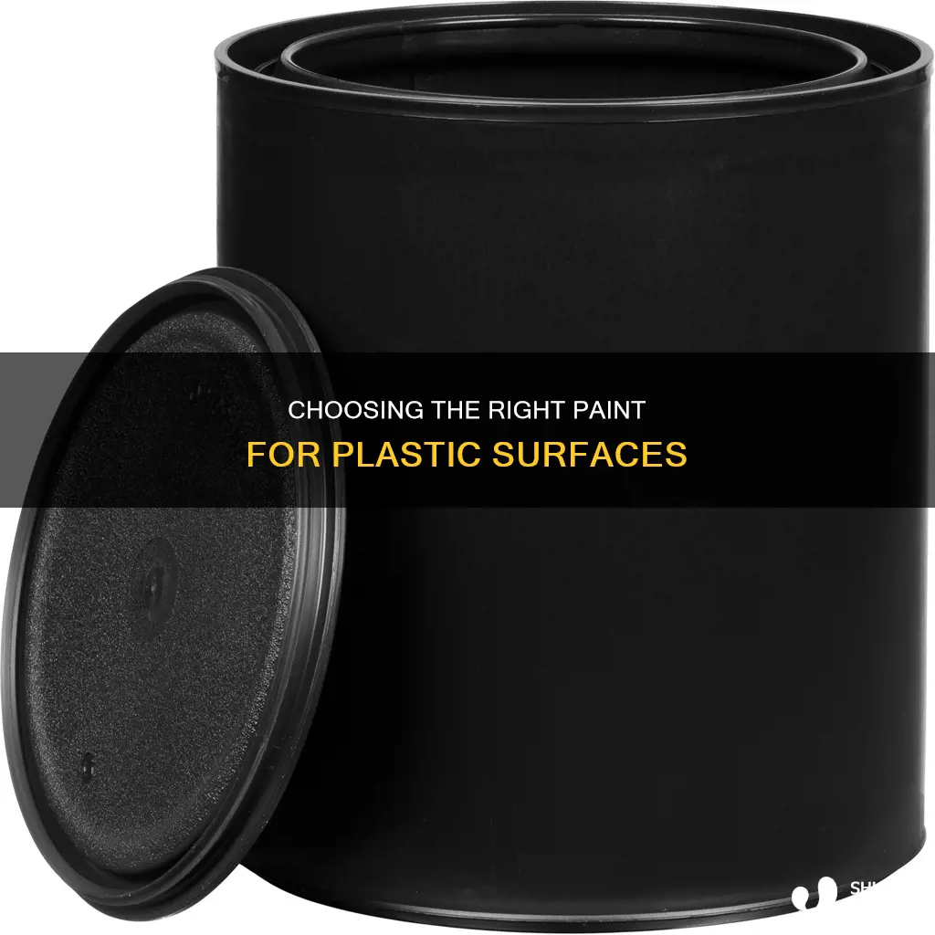 what paints to ise on plastic