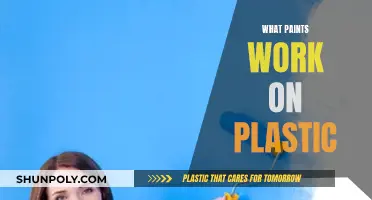 Best Paints for Plastic: Choose the Right One