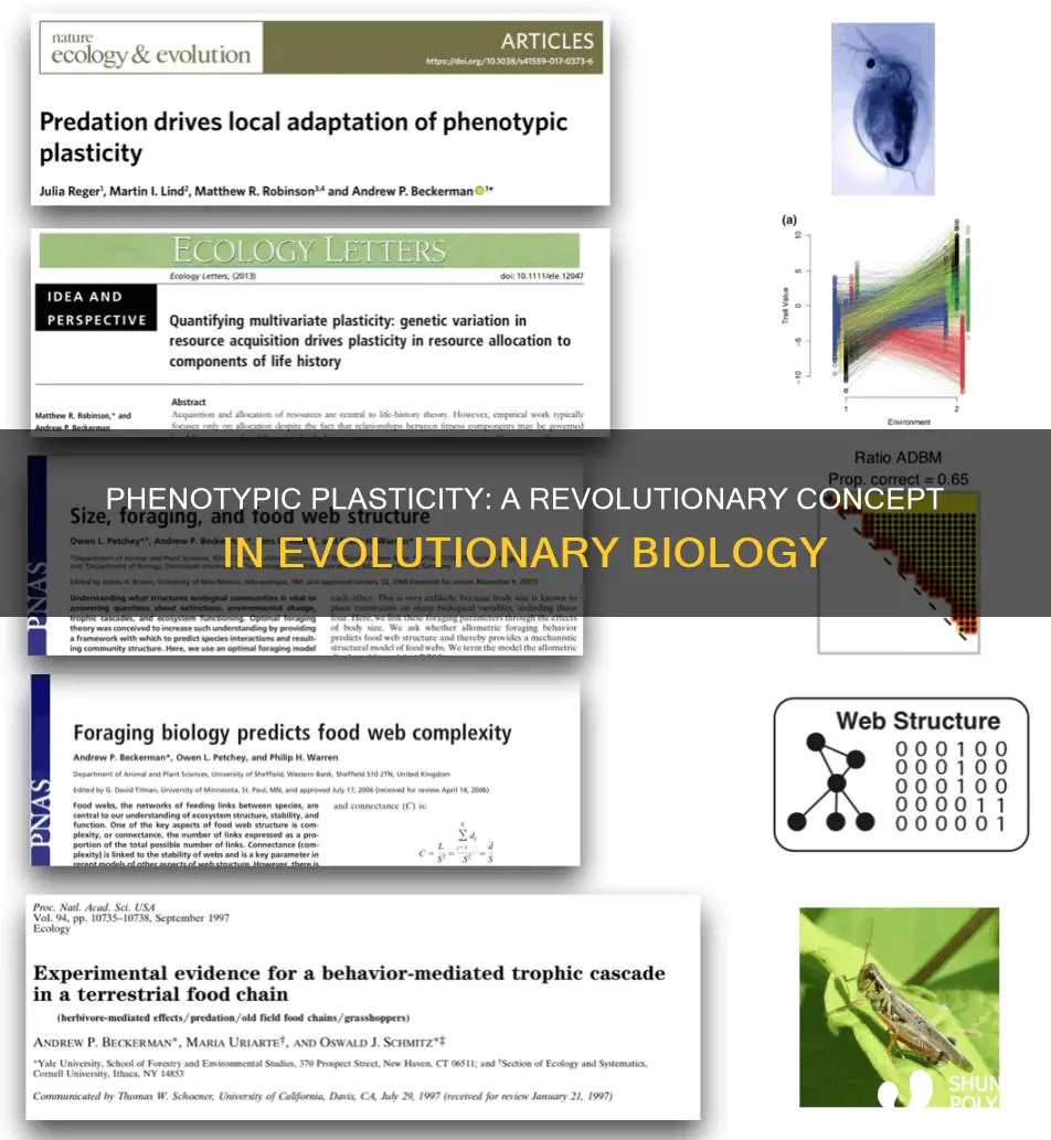 what paper coined the term phenotypic plasticity
