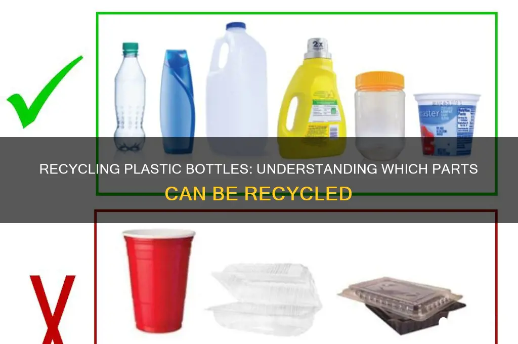 what part of a plastic bottle is reyclable