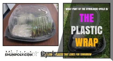 Unwrapping the Truth: Plastic's Role in the Hydrologic Cycle