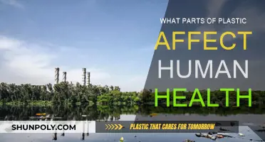 Plastic's Health Impact: What You Need to Know