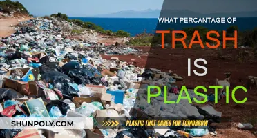 Plastic Pollution: Understanding the Global Trash Crisis
