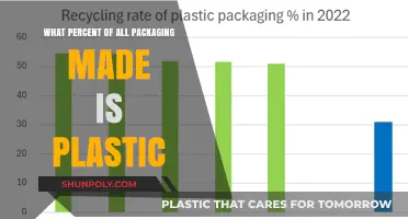Plastic Packaging Dominance: Understanding Its Percentage in Global Production