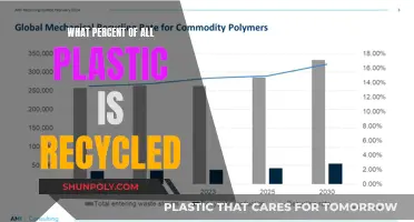 Recycling Plastic: What's the Actual Rate of Success?