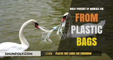 Plastic Bags' Deadly Impact: How Many Animals Perish Annually?