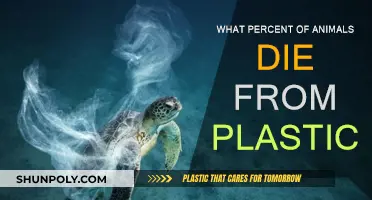 Plastic Pollution: A Death Sentence for Animals