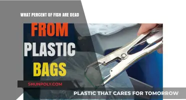 Plastic Bags in Oceans: How Many Fish Are Dying?