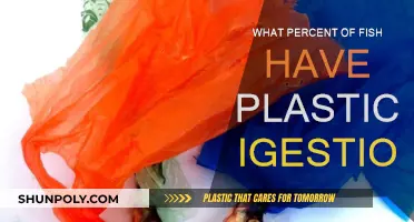Plastic Ingestion: A Growing Concern for Fish