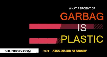 Plastic Pollution: Understanding the Garbage Crisis