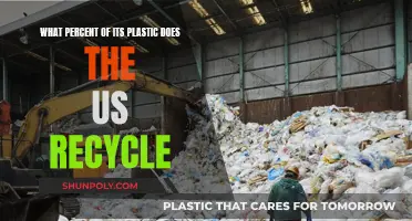 Recycling Reality: US Plastic Recycling Rates Exposed