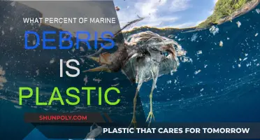 Plastic Pollution: Marine Debris Crisis