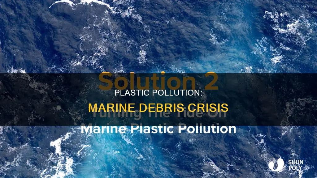 what percent of marine debris is plastic