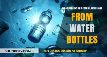 Ocean Plastics Crisis: Water Bottles' Surprising Contribution Revealed