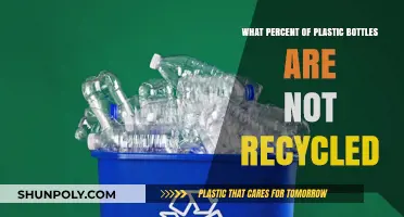 The Shocking Truth: How Many Plastic Bottles Escape Recycling?