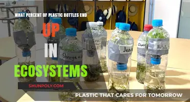 Plastic Bottle Pollution: How Much Ends Up in Ecosystems?