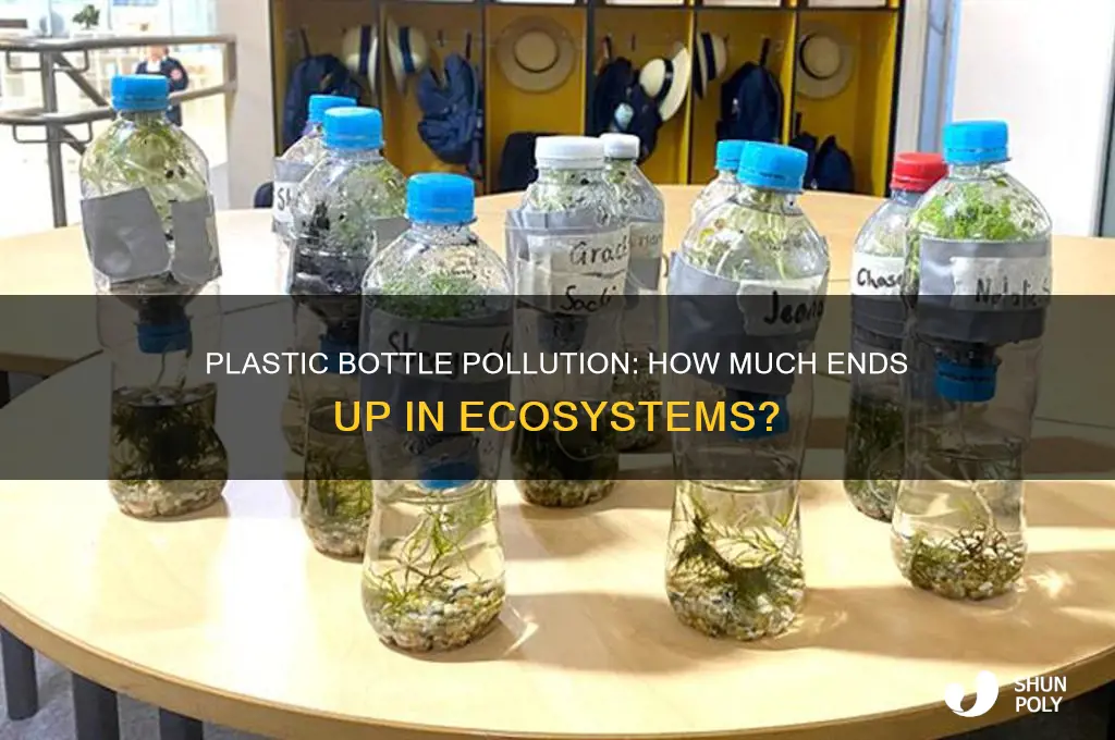 what percent of plastic bottles end up in ecosystems