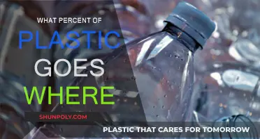 Plastic's Final Destination: Where Does It All Go?