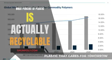 The Myth of Plastic: Understanding the Reality of Recyclability