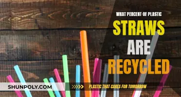 The Unfortunate Truth About Plastic Straw Recycling Rates
