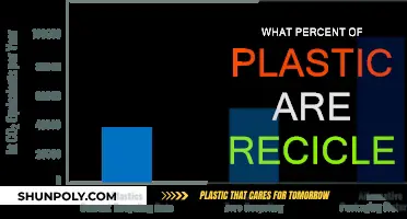Recycling Reality: Plastic's Dismal Recycling Percentage