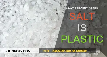 Plastic in Sea Salt: What's the Harm?
