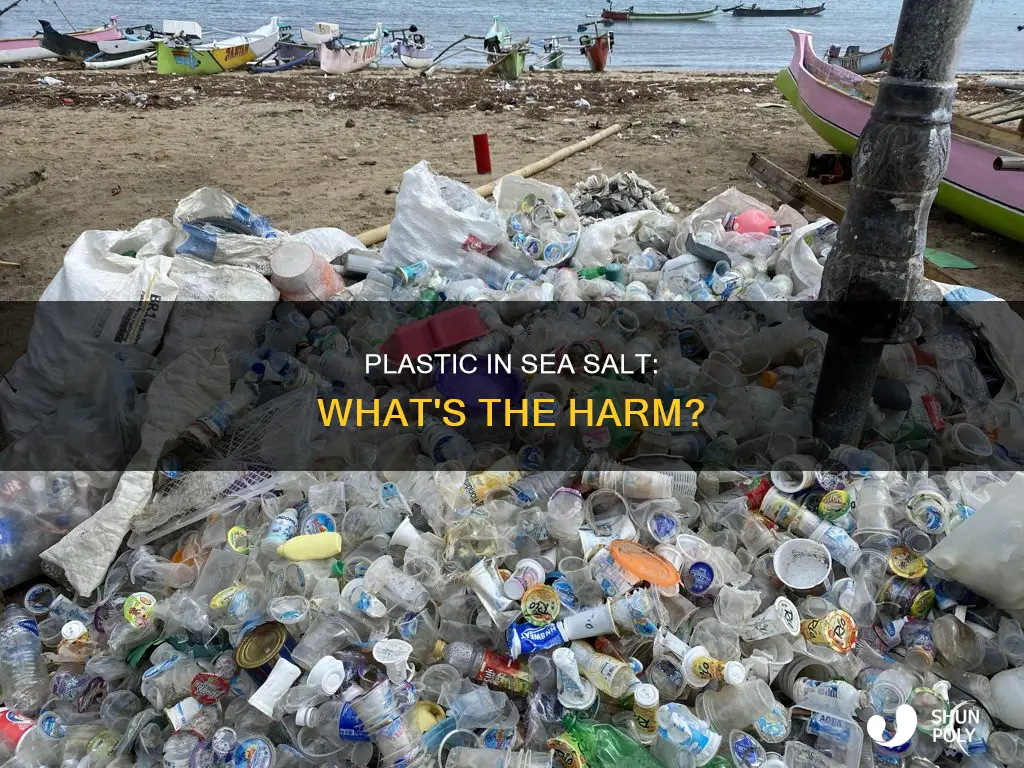 what percent of sea salt is plastic