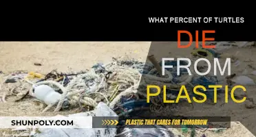 Plastic Pollution: A Deadly Threat to Turtles
