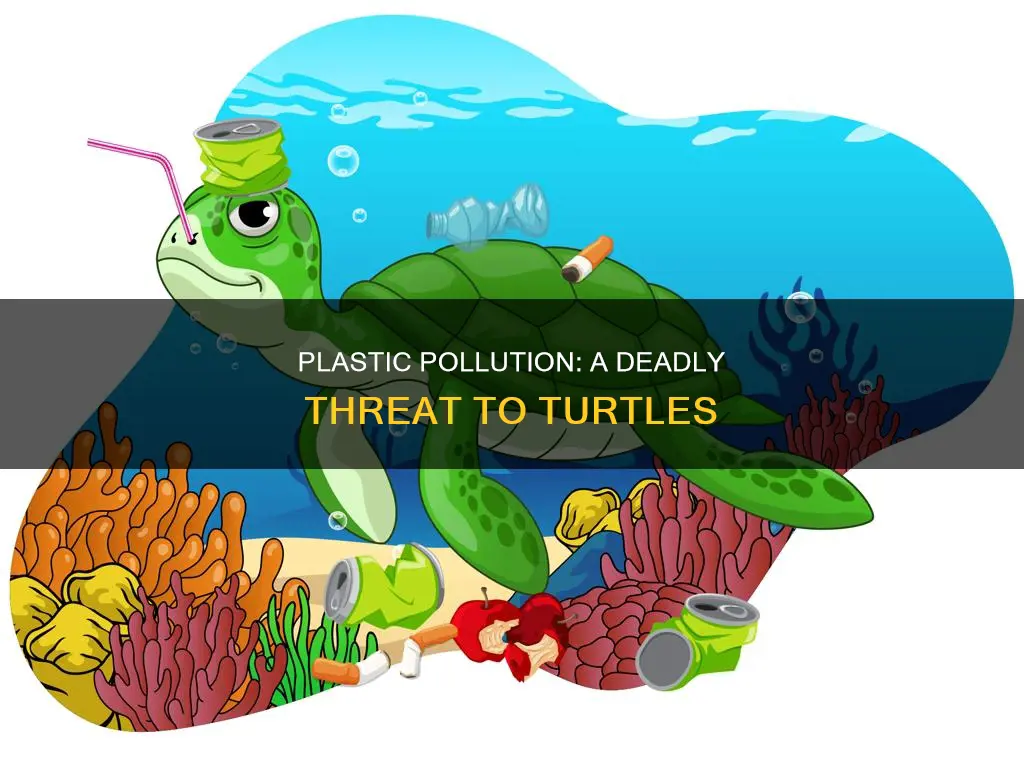 what percent of turtles die from plastic