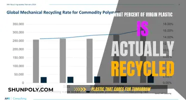 The Truth About Virgin Plastic Recycling Rates
