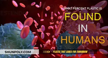 Plastic in Humans: What Percentage?