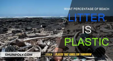 Plastic Pollution: Beach Litter's Main Culprit