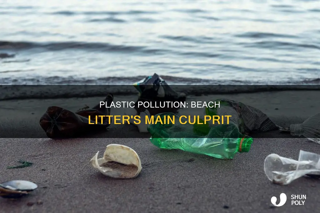 what percentage of beach litter is plastic