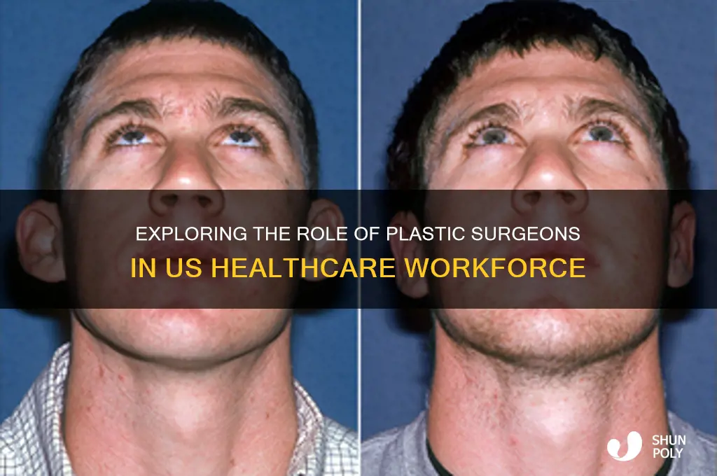 what percentage of doctors in the us are plastic surgeons