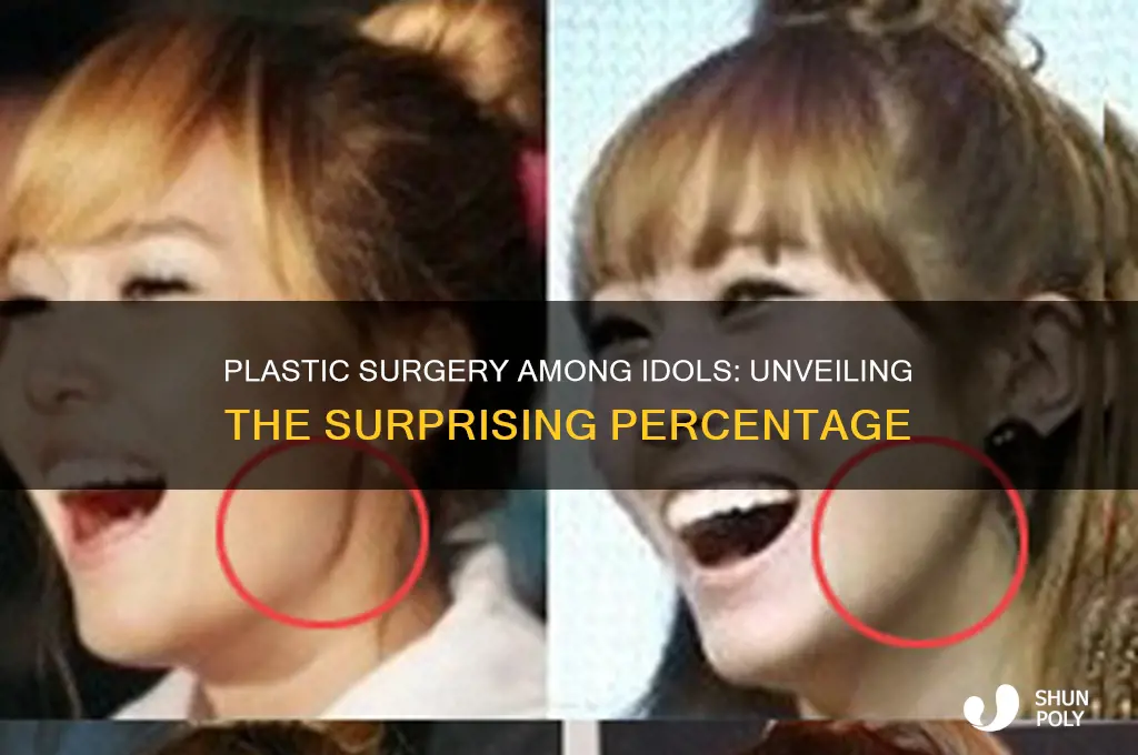 what percentage of idol have had plastic surgery
