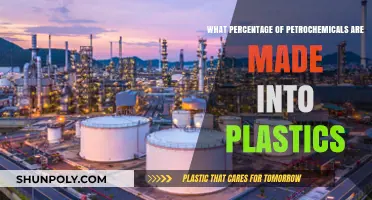 How Much of Petrochemicals Are Transformed into Plastics?