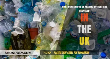 UK Plastic Bottle Recycling Rates: How Much is Actually Recycled?