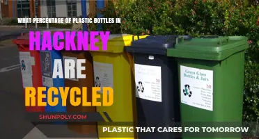 Recycling Rates in Hackney: How Many Plastic Bottles Are Actually Recycled?