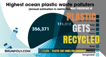 Unveiling the Truth: How Much Plastic Actually Gets Recycled?