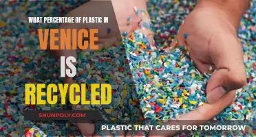 Venice's Plastic Crisis: What Percentage is Recycled?