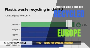 Europe's Plastic Recycling Efforts: How Effective Are They?
