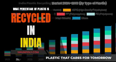 India's Plastic Recycling Efforts: A Comprehensive Overview