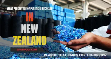 Kiwis' Efforts in Plastic Recycling: How Much?