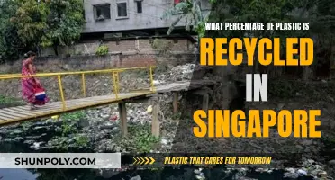 Singapore's Plastic Recycling Efforts: How Effective Are They?