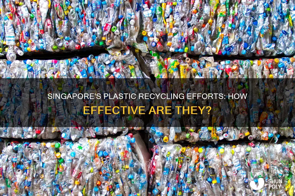 what percentage of plastic is recycled in singapore