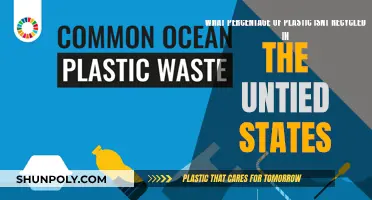 The US's Shocking Plastic Waste and Recycling Crisis