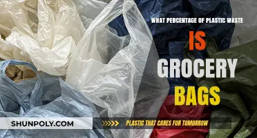 Grocery Bags' Role in Plastic Waste: A Percentage Breakdown