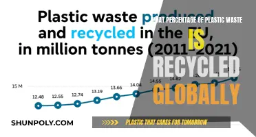 Global Plastic Recycling: The Surprising Truth Behind the Numbers