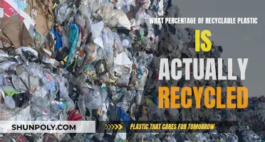 The Surprising Truth: Only a Fraction of Our Plastic Waste Gets Recycled